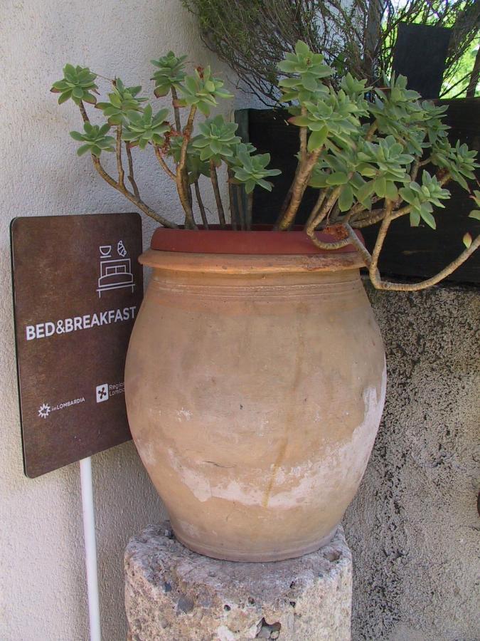 B&B Il Rustico Turate Zewnętrze zdjęcie